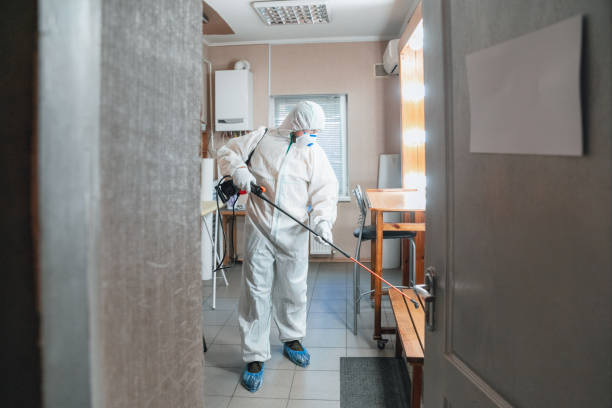 Best Biohazard Mold Removal  in Delshire, OH